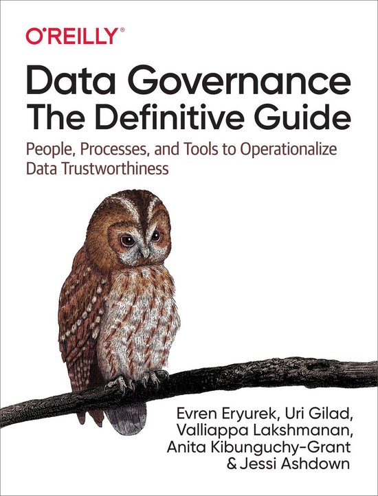 Data Governance: The Definitive Guide - cover