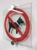 Verboden voor honden bord - plexiglas - P021 Zonder afstandhouders 150 x 150 mm