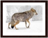 Foto in frame , Bruine wolf , 3 maten , multikleur, wanddecoratie , Premium print