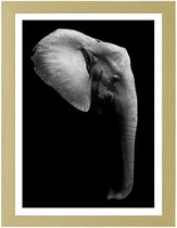 Foto in frame , Olifant , 3 maten , Zwart wit , wanddecoratie , Premium print