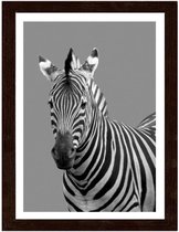 Foto in frame , Zebra , 3 maten , Zwart wit, wanddecoratie , Premium print