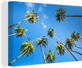 Canvas Schilderij Palmbomen van onderaf tegen een blauwe lucht - 120x80 cm - Wanddecoratie
