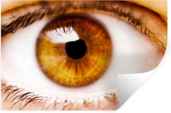 Sticker Muursticker Yeux - Marron avec oeil jaune - 120x80 cm - film  adhésif... | bol.com