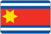 Vlag Eenrum - 100 x 150 cm - Polyester