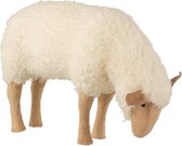 J-Line Schaap Staand Naar Beneden Kijkend Polyester Beige Small