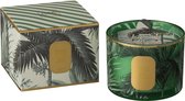 J-Line Geurkaars Tropical Jungle Groen Small 35U