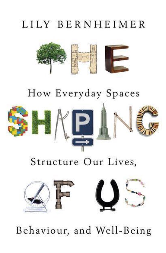 The Shaping of Us - cover