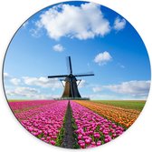 Dibond Wandcirkel - Tulpen Veld bij Molen - 70x70cm Foto op Aluminium Wandcirkel (met ophangsysteem)