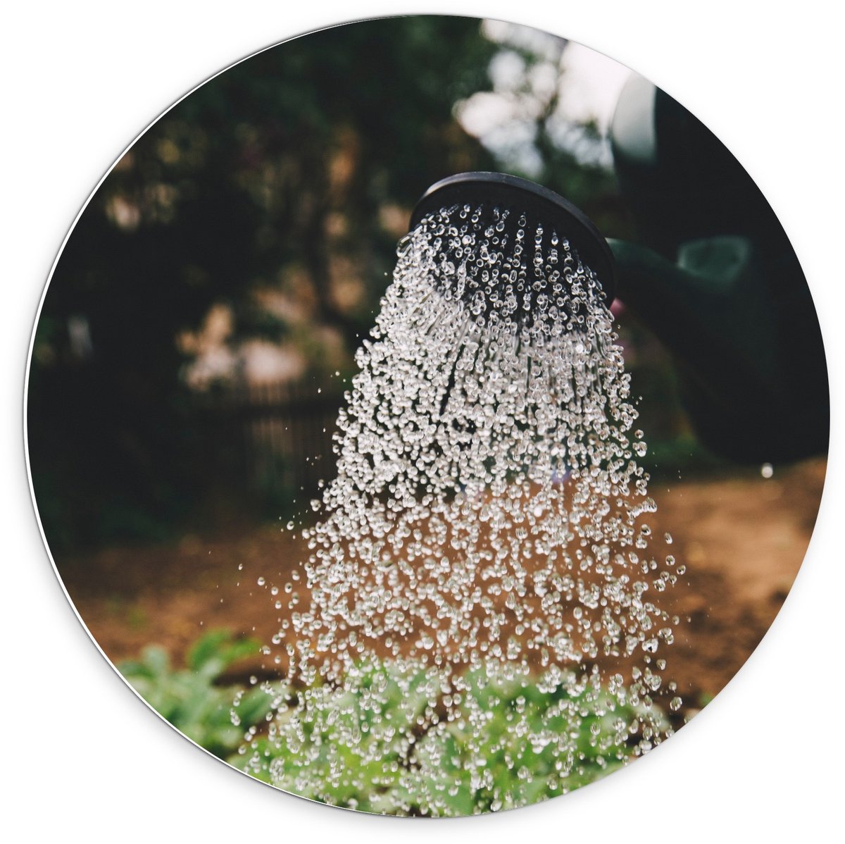 KuijsFotoprint - Schilderij - Regendouche In De Natuur - Zwart, Wit, Groen En Bruin - 70 X