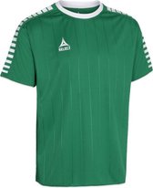 Select Argentina Shirt Heren - sportshirts - groen - Mannen