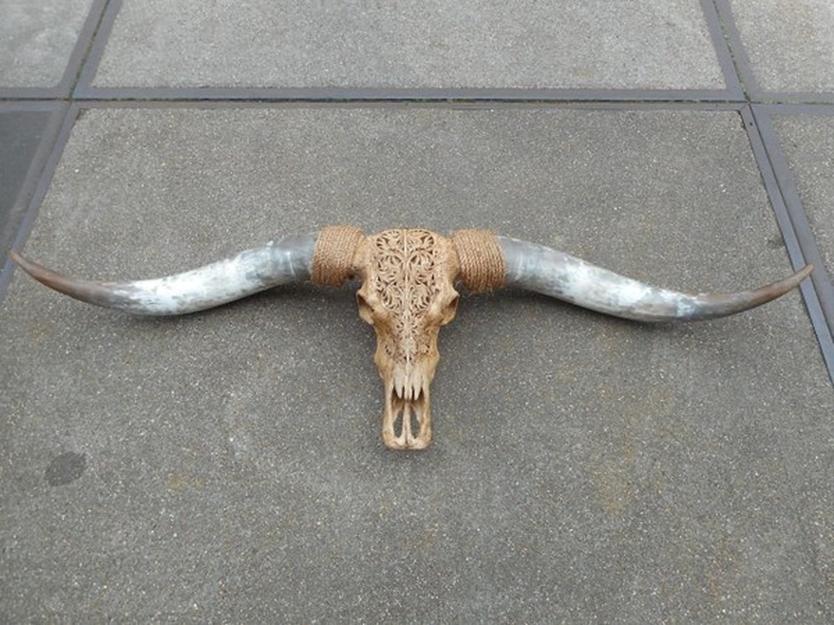 Longhoorn gegraveerd medium bruin