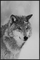 JUNIQE - Poster in kunststof lijst The Wolf -40x60 /Grijs