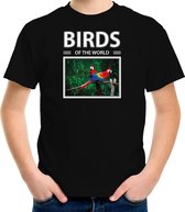 Dieren foto t-shirt Papegaai - zwart - kinderen - birds of the world - cadeau shirt vogel liefhebber XS (110-116)