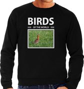 Dieren foto sweater Grutto - zwart - heren - birds of the world - cadeau trui vogel liefhebber XL