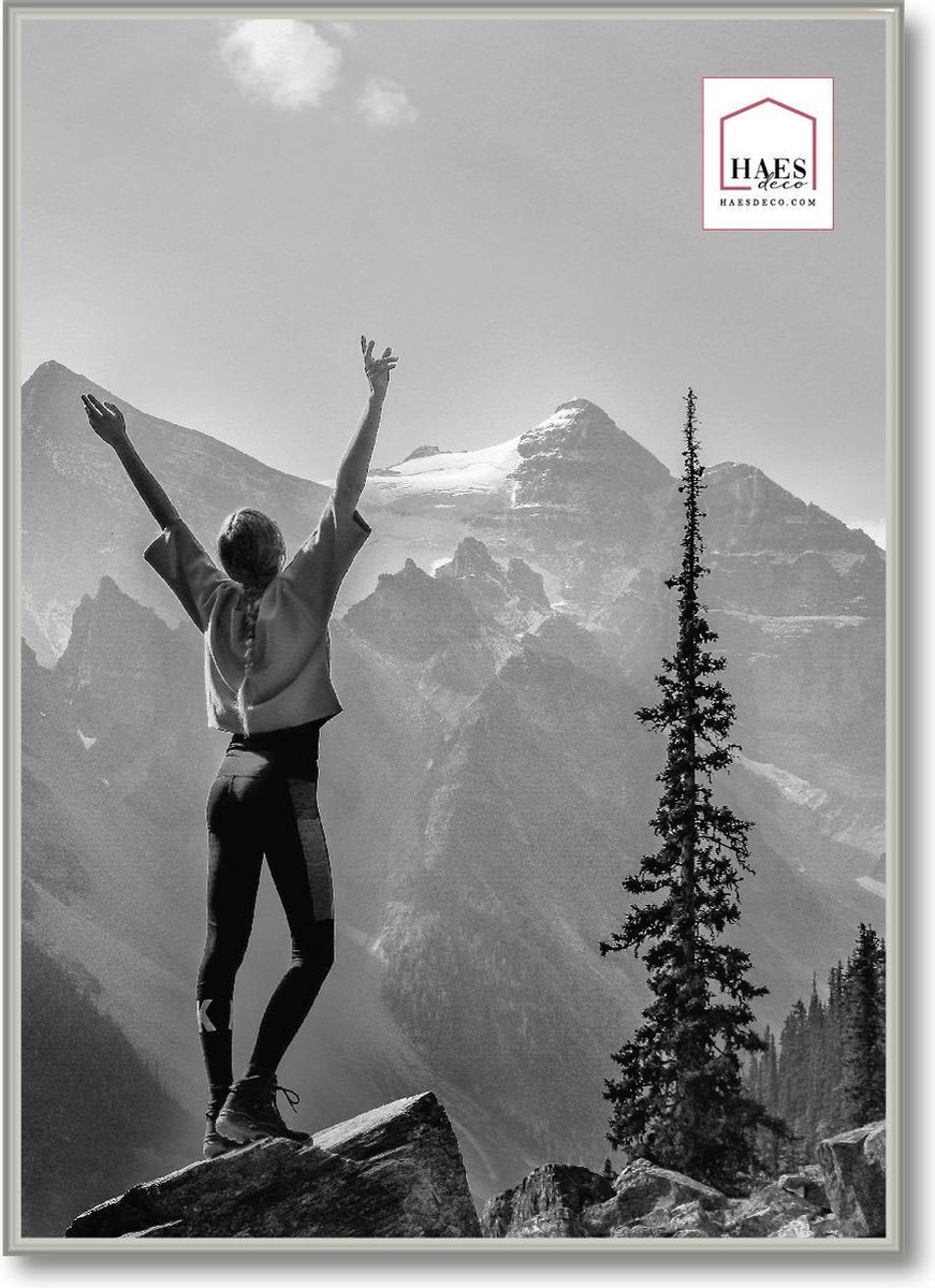 HAES deco - Kunststof fotolijst 50x50 zilver Easy Frame - EF18S