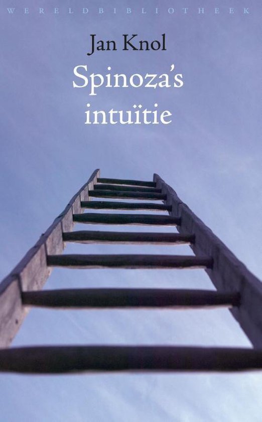 Cover van het boek 'Spinoza's intuitie'