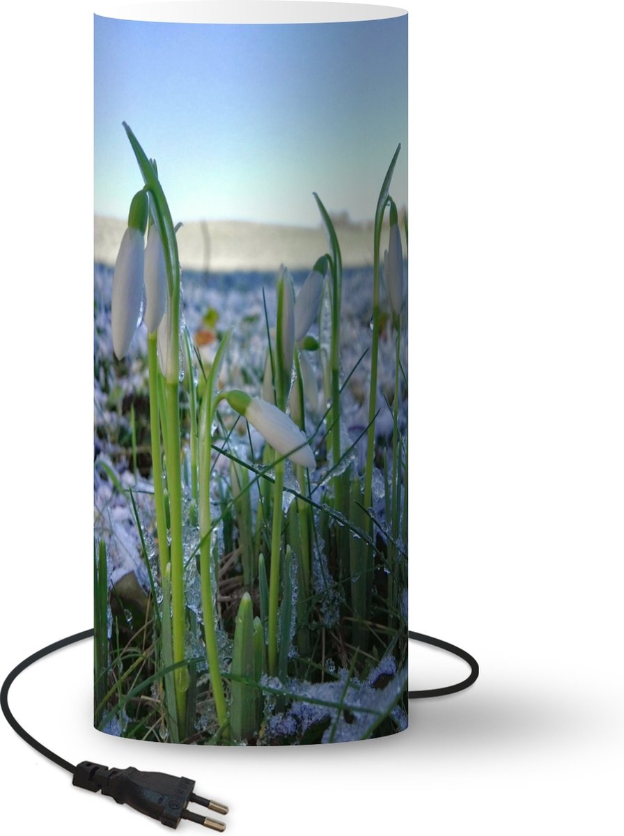 Lamp - Nachtlampje - Tafellamp slaapkamer - Sneeuwklokjes tijdens de winter op een veld - 70 cm hoog - Ø29.6 cm - Inclusief LED lamp
