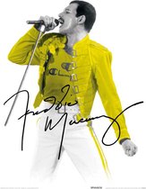 Freddie Mercury Yellow Jacket Art Print 30x40cm | Poster