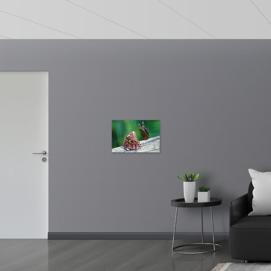 Dibond - Bruine Vlinders op een Houte Balk - 60x40 cm Foto op Aluminium (Wanddecoratie van metaal)