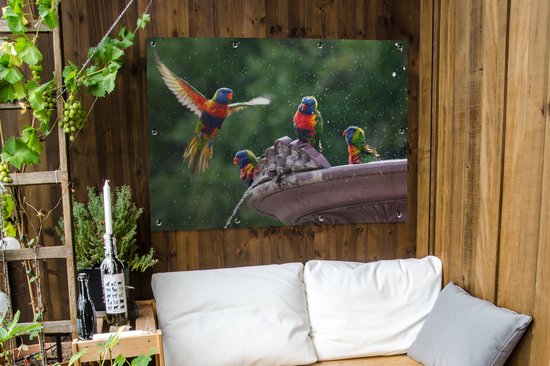 Affiche de jardin Fontaine - Vogel - Water - 120x90 cm