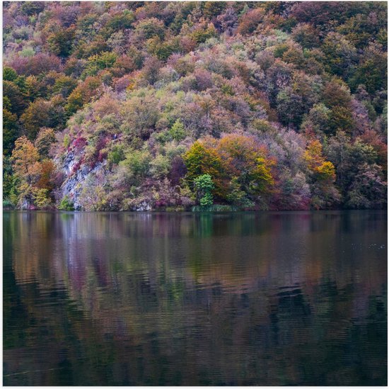 WallClassics - Poster (Mat) - Gekleurde Bos aan het Water - 50x50 cm Foto op Posterpapier met een Matte look