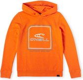 O'Neill Sweatshirts Boys CUBE Puffin's Bill Trui 152 - Puffin's Bill 60% Cotton, 40% Recycled Polyester