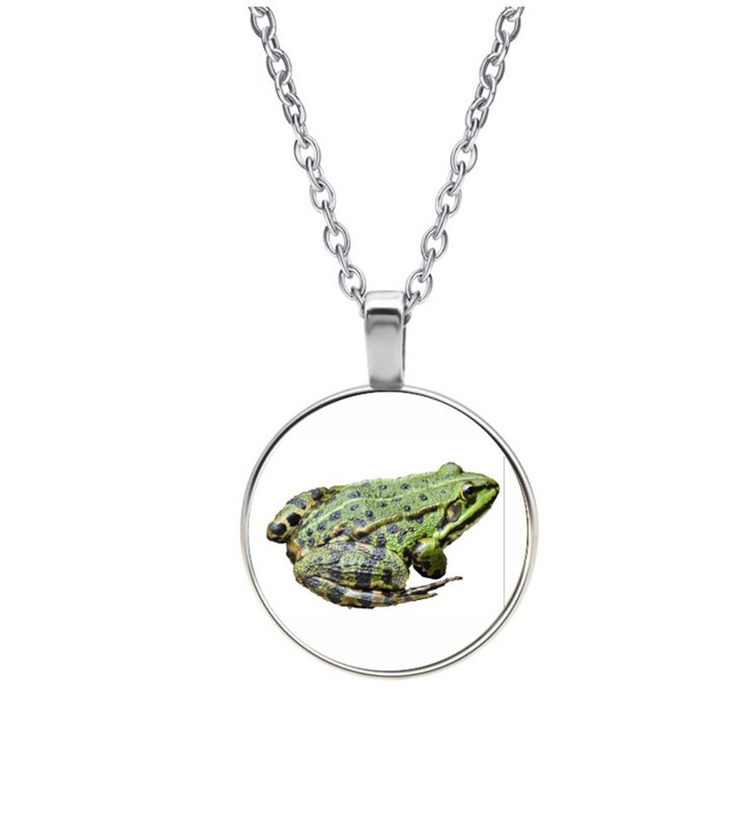 Ketting Glas - Kikker