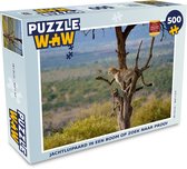 Puzzle Léopard - Arbre - Animal - Puzzle - Puzzle 500 pièces - Sinterklaas cadeaux - Sinterklaas for big kids