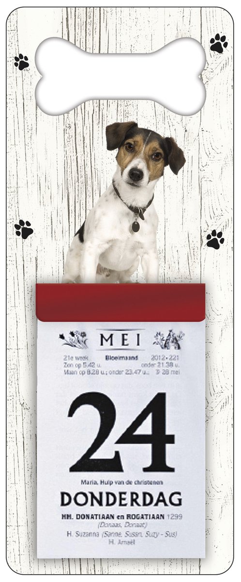 Scheurkalender 2026 Hond: Jack Russel