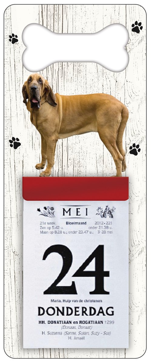 Scheurkalender 2024 Hond: Bloedhond