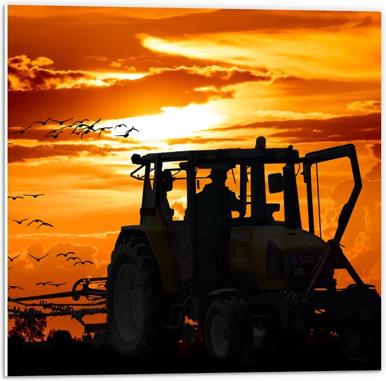 WallClassics - PVC Schuimplaat - Boer met Traktor bij Zonsondergang - 50x50 cm Foto op PVC Schuimplaat (Met Ophangsysteem)