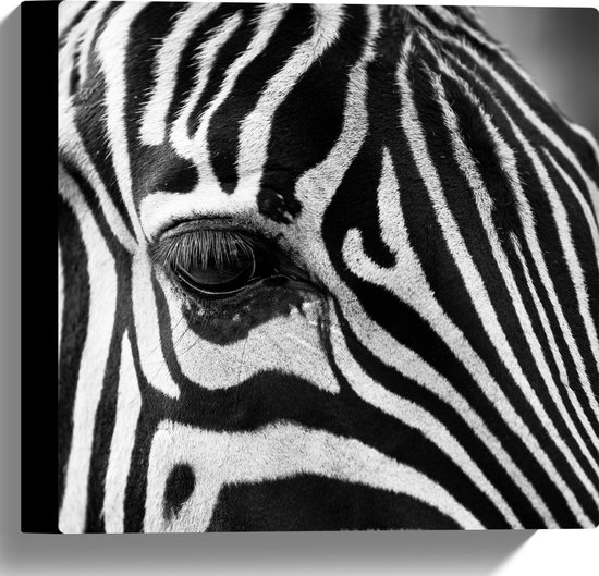 WallClassics - Canvas  - Voorhoofd van een Zebra - 30x30 cm Foto op Canvas Schilderij (Wanddecoratie op Canvas)