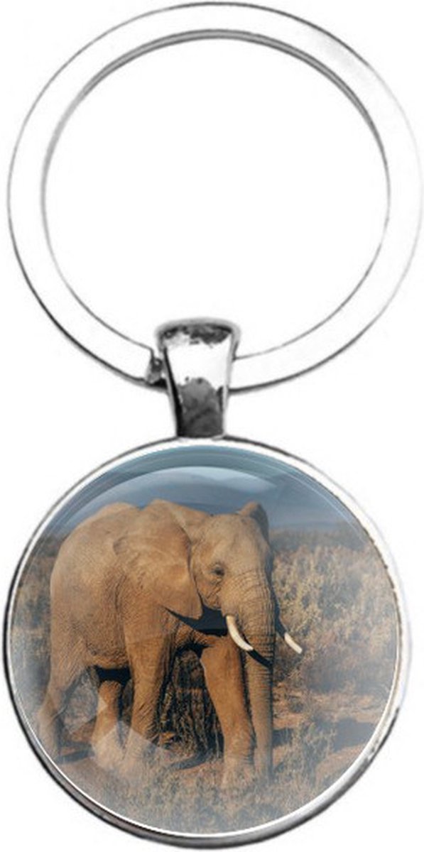 Sleutelhanger Glas - Olifant