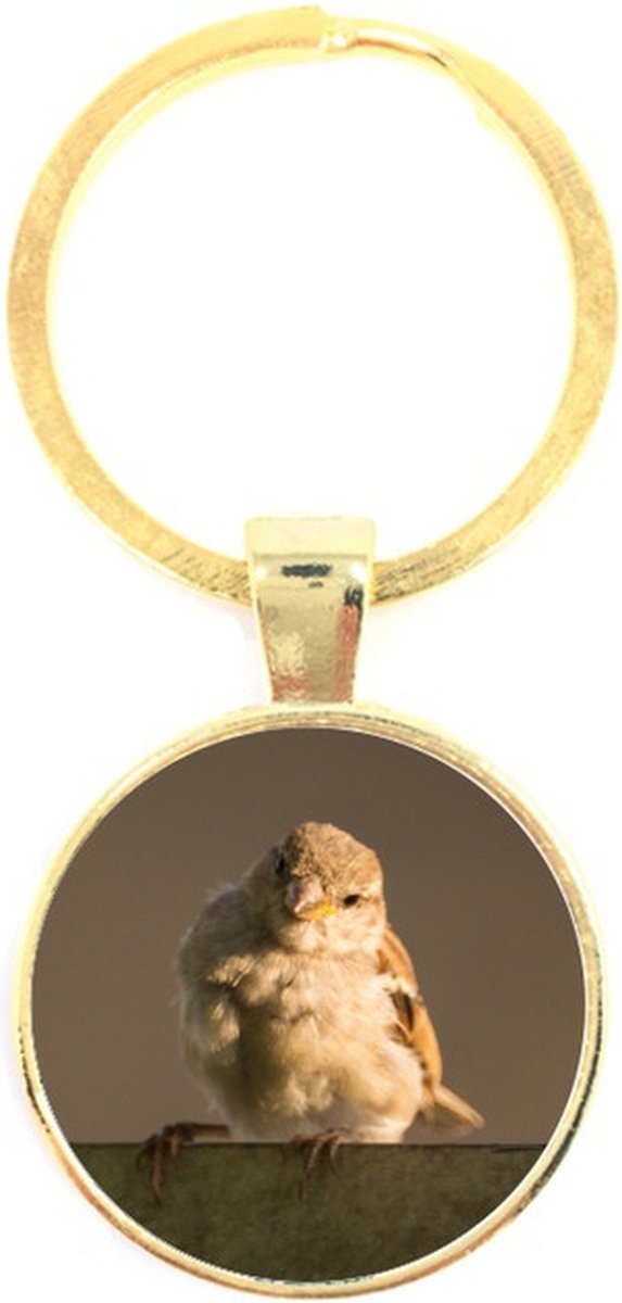 Sleutelhanger Glas - Vogel