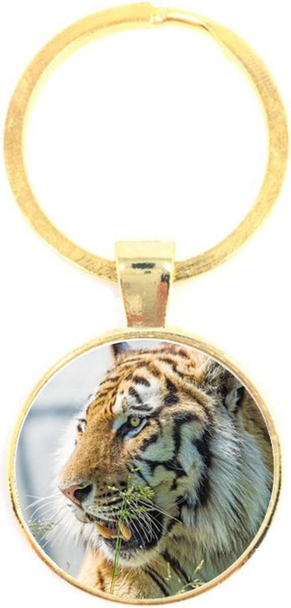Sleutelhanger Glas - Tijger