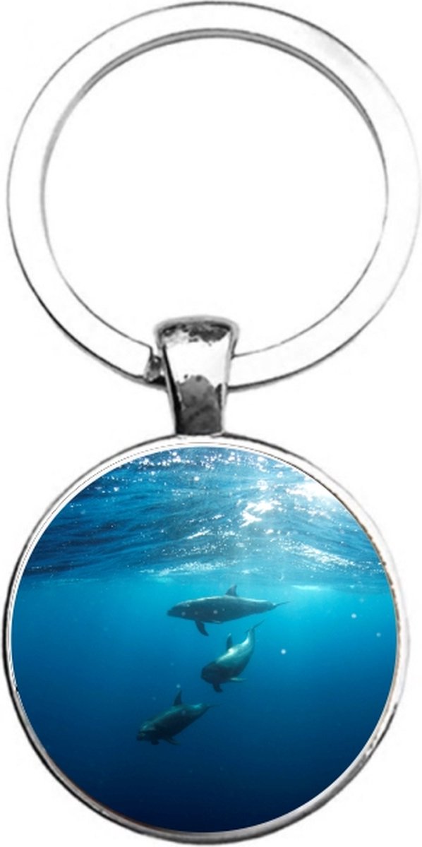 Sleutelhanger Glas - Dolfijnen