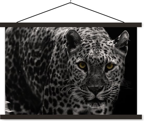 Gros plan léopard fixant sur fond noir poster textielposter lattes noires 90x60 cm - Tirage photo sur plaque scolaire (décoration murale salon / chambre)