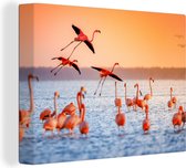 Canvas - Schilderij - Vogel - Flamingo - Zonsondergang - Water - Tropisch - Foto op canvas - 160x120 cm - Canvas vogels - Muurdecoratie
