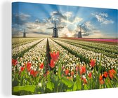 Canvas Schilderij Windmolen - Tulpen - Lucht - Natuur - 30x20 cm - Wanddecoratie