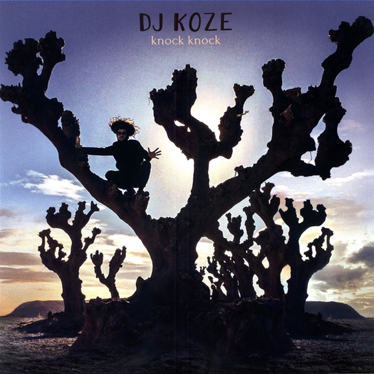 Knock Knock (2Lp + 7I + Download) (LP)