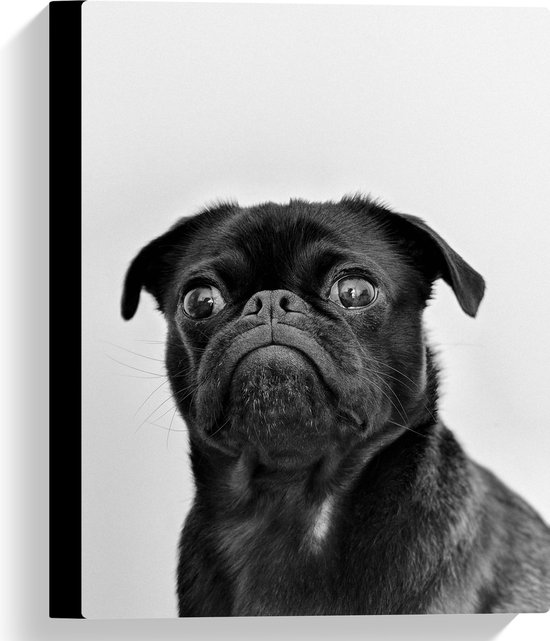 WallClassics - Canvas  - Dog in Black - 30x40 cm Foto op Canvas Schilderij (Wanddecoratie op Canvas)