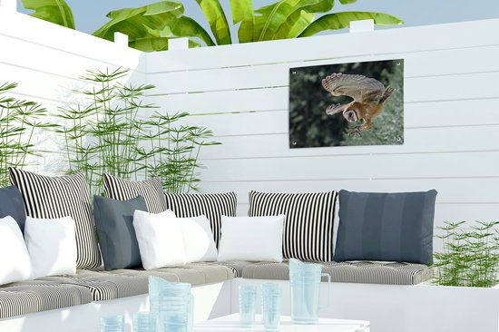 Hibou d'attaque 40x30 cm - petit