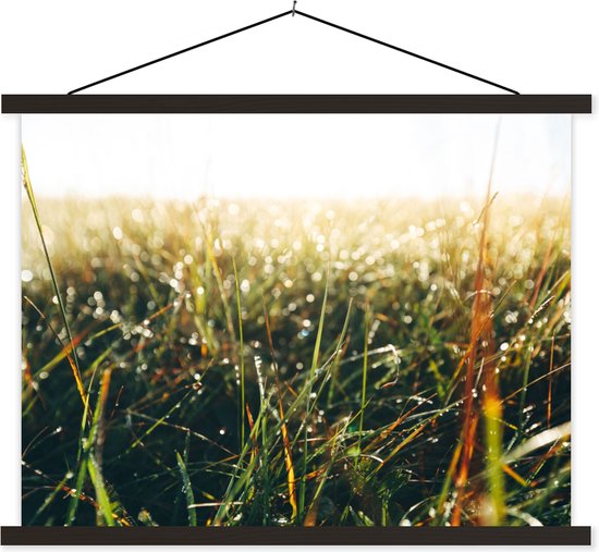 Porte-affiche avec affiche - Affiche scolaire - Champ d'herbe - Herbe de la pampa - Herbe - 150x113 cm - Lattes noires