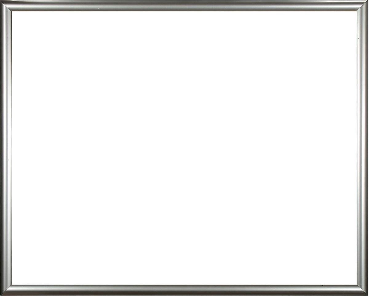 Homedecoration Biggy – Fotolijst – Fotomaat – 31 x 59 cm – Kunststof – Zilver
