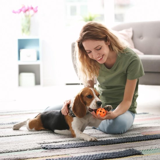 bol.com | relaxdays hondenspeelgoed - set van 10 - trekspeelgoed - puppy  speelgoed - honden touw