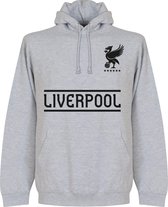 Liverpool Team Hoodie - Grijs - Kinderen - 104