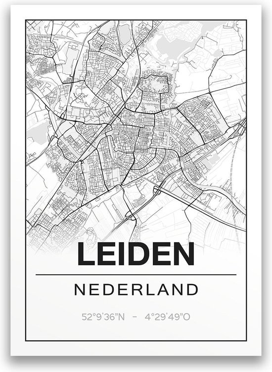 Poster/plattegrond LEIDEN 30x40cm bol