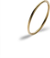 Twice As Nice Ring in goudkleurig edelstaal, dunne ring  58