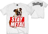 Miss May I Heren Tshirt -XL- Bull Dog Wit