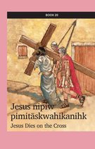 kihci-masinahikan ācimowinisa (Plains Cree Bible Stories) 20 - Jesus nipiw pimitāskwahikanihk
